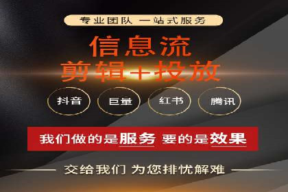 专业SEM托管助力企业快速成长案例分析